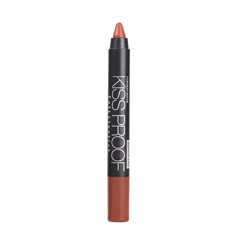 Matte Lipstick in Pen Form for Precision and Bold Color