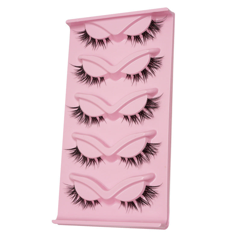 Five Pair Cat Eye Oblique Makeup Eyelashes for Thick, Dramatic Look